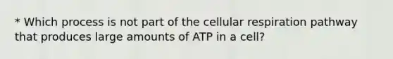 * Which process is not part of the cellular respiration pathway that produces large amounts of ATP in a cell?