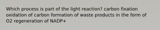 Which process is part of the light reaction? carbon fixation oxidation of carbon formation of waste products in the form of O2 regeneration of NADP+