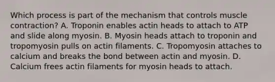 Which process is part of the mechanism that controls muscle contraction? A. Troponin enables actin heads to attach to ATP and slide along myosin. B. Myosin heads attach to troponin and tropomyosin pulls on actin filaments. C. Tropomyosin attaches to calcium and breaks the bond between actin and myosin. D. Calcium frees actin filaments for myosin heads to attach.