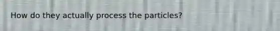 How do they actually process the particles?