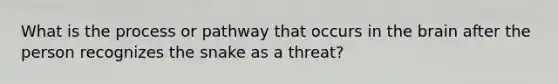 What is the process or pathway that occurs in the brain after the person recognizes the snake as a threat?