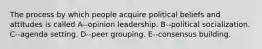 The process by which people acquire political beliefs and attitudes is called A--opinion leadership. B--political socialization. C--agenda setting. D--peer grouping. E--consensus building.