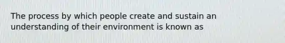 The process by which people create and sustain an understanding of their environment is known as