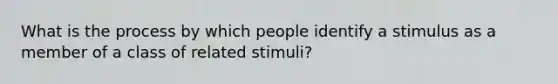 What is the process by which people identify a stimulus as a member of a class of related stimuli?