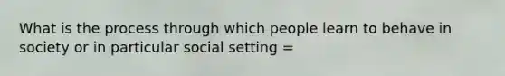 What is the process through which people learn to behave in society or in particular social setting =