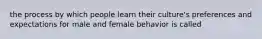 the process by which people learn their culture's preferences and expectations for male and female behavior is called