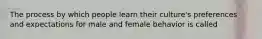 The process by which people learn their culture's preferences and expectations for male and female behavior is called