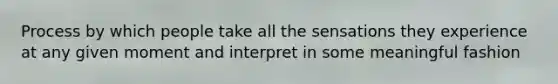 Process by which people take all the sensations they experience at any given moment and interpret in some meaningful fashion