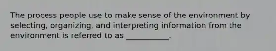 The process people use to make sense of the environment by selecting, organizing, and interpreting information from the environment is referred to as ___________.