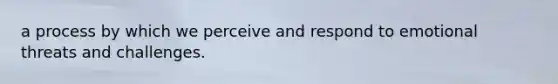 a process by which we perceive and respond to emotional threats and challenges.
