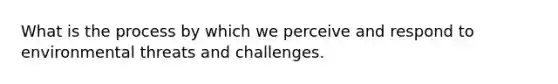 What is the process by which we perceive and respond to environmental threats and challenges.