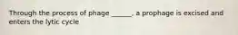 Through the process of phage ______, a prophage is excised and enters the lytic cycle