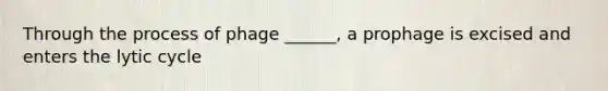 Through the process of phage ______, a prophage is excised and enters the lytic cycle