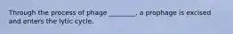 Through the process of phage ________, a prophage is excised and enters the lytic cycle.