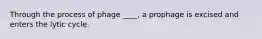 Through the process of phage ____, a prophage is excised and enters the lytic cycle.