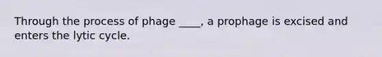 Through the process of phage ____, a prophage is excised and enters the lytic cycle.