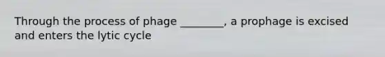 Through the process of phage ________, a prophage is excised and enters the lytic cycle