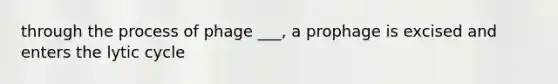 through the process of phage ___, a prophage is excised and enters the lytic cycle