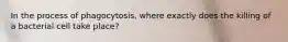 In the process of phagocytosis, where exactly does the killing of a bacterial cell take place?