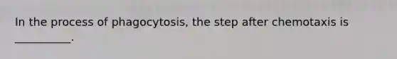 In the process of phagocytosis, the step after chemotaxis is __________.