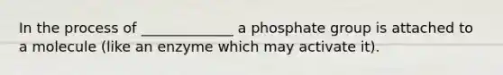 In the process of _____________ a phosphate group is attached to a molecule (like an enzyme which may activate it).