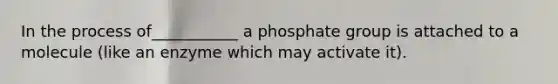 In the process of___________ a phosphate group is attached to a molecule (like an enzyme which may activate it).