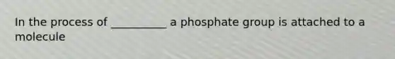 In the process of __________ a phosphate group is attached to a molecule