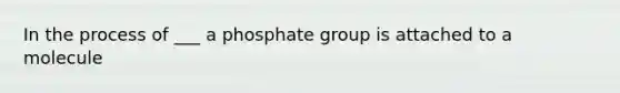 In the process of ___ a phosphate group is attached to a molecule