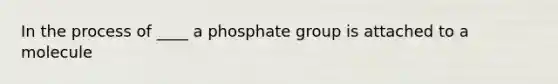 In the process of ____ a phosphate group is attached to a molecule