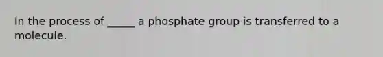 In the process of _____ a phosphate group is transferred to a molecule.