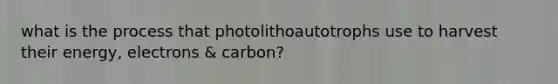 what is the process that photolithoautotrophs use to harvest their energy, electrons & carbon?