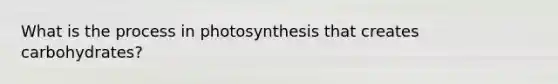 What is the process in photosynthesis that creates carbohydrates?