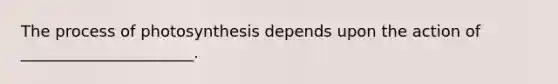 The process of photosynthesis depends upon the action of ______________________.