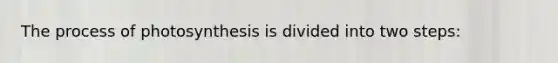 The process of photosynthesis is divided into two steps: