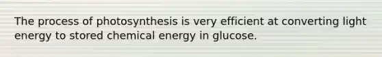 The process of photosynthesis is very efficient at converting light energy to stored chemical energy in glucose.