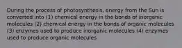 During the process of photosynthesis, energy from the Sun is converted into (1) chemical energy in the bonds of inorganic molecules (2) chemical energy in the bonds of organic molecules (3) enzymes used to produce inorganic molecules (4) enzymes used to produce organic molecules