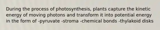 During the <a href='https://www.questionai.com/knowledge/kZdL6DGYI4-process-of-photosynthesis' class='anchor-knowledge'>process of photosynthesis</a>, plants capture the kinetic energy of moving photons and transform it into potential energy in the form of -pyruvate -stroma -chemical bonds -thylakoid disks