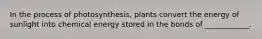 In the process of photosynthesis, plants convert the energy of sunlight into chemical energy stored in the bonds of ____________.