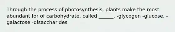 Through the process of photosynthesis, plants make the most abundant for of carbohydrate, called ______. -glycogen -glucose. -galactose -disaccharides