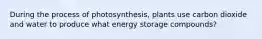 During the process of photosynthesis, plants use carbon dioxide and water to produce what energy storage compounds?