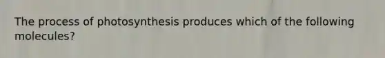 The process of photosynthesis produces which of the following molecules?