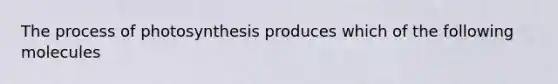 The <a href='https://www.questionai.com/knowledge/kZdL6DGYI4-process-of-photosynthesis' class='anchor-knowledge'>process of photosynthesis</a> produces which of the following molecules