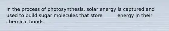 In the process of photosynthesis, solar energy is captured and used to build sugar molecules that store _____ energy in their chemical bonds.