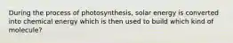 During the process of photosynthesis, solar energy is converted into chemical energy which is then used to build which kind of molecule?