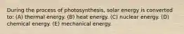 During the process of photosynthesis, solar energy is converted to: (A) thermal energy. (B) heat energy. (C) nuclear energy. (D) chemical energy. (E) mechanical energy.