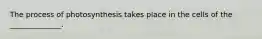 The process of photosynthesis takes place in the cells of the ______________.