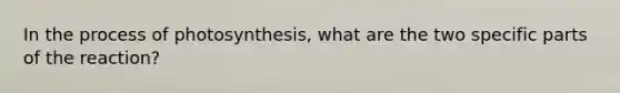 In the <a href='https://www.questionai.com/knowledge/kZdL6DGYI4-process-of-photosynthesis' class='anchor-knowledge'>process of photosynthesis</a>, what are the two specific parts of the reaction?