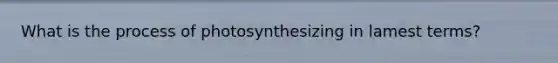 What is the process of photosynthesizing in lamest terms?