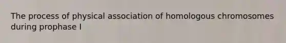 The process of physical association of homologous chromosomes during prophase I