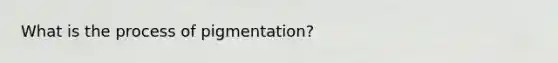 What is the process of pigmentation?